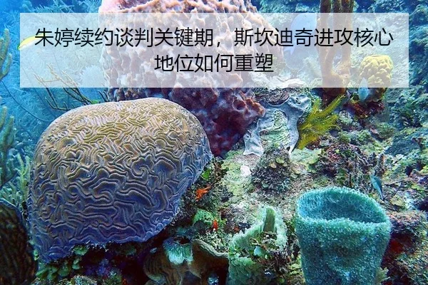 朱婷续约谈判关键期，斯坎迪奇进攻核心地位如何重塑
