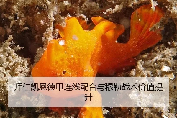 bai-ren-kai-en-de-jia-lian-xian-pei-he-yu-mu-lei-zhan-shu-jia-zhi-ti-sheng-3-984.jpg