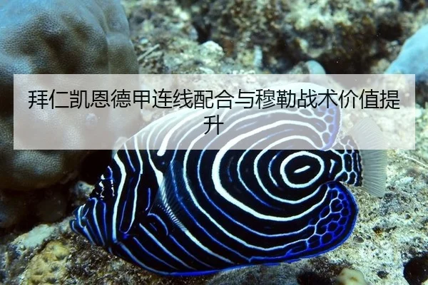 拜仁凯恩德甲连线配合与穆勒战术价值提升